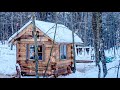 Building an Off-grid Workshop | Felling Trees for the Off Grid Log Cabin Build