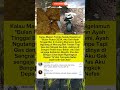 Makan Tempe Sambil Nangis… Kisah Pilu Ramadhan 2024 😭💔#trendingshorts#faktamenarik #fypシ゚viral