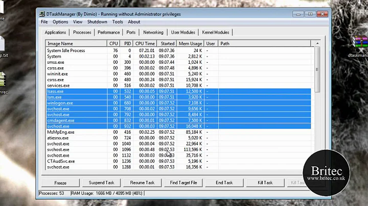 DTaskManager: A  Alternative To Windows Task Manager by Britec