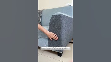 The Ultimate Hack to Stop Cat Scratches on Your Couch!