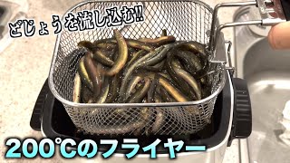 【爽快】200℃のフライヤーで豪快に大量のどじょうを流し込んだ結果wwwww