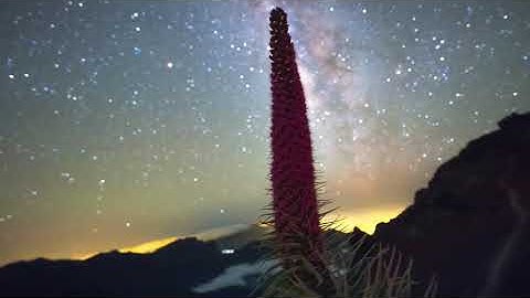 Spatial Architecture 6 (by McV)