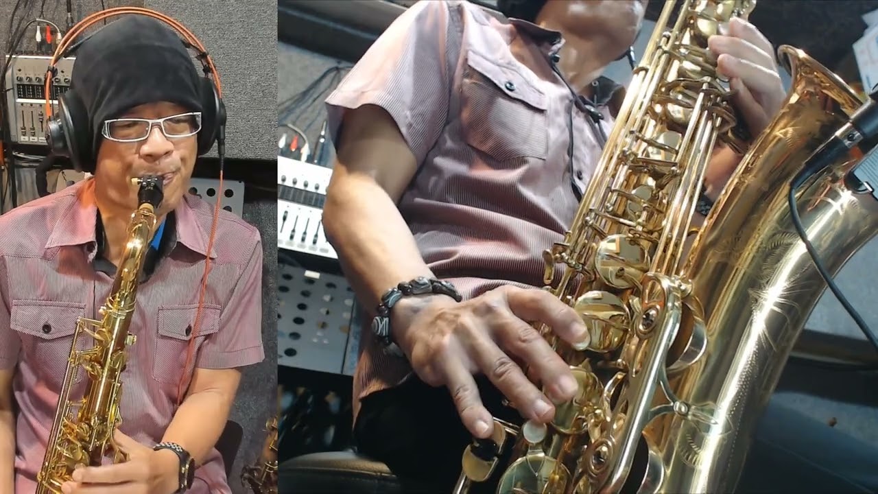 我曾用心愛著你_潘美辰 (Seven Sax)