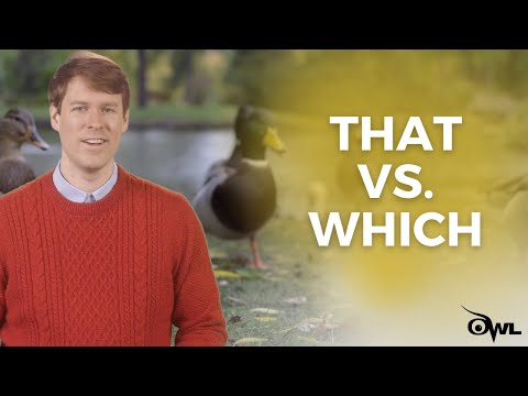 That vs. Which: What&rsquo;s the Difference?