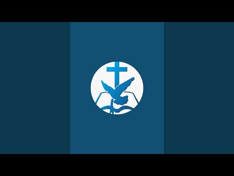 Previzualizare video