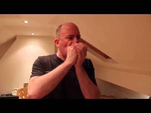 1st Position Harmonica Blues Solo