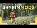 My essential skyrim mods for 2024  a catalog of mods