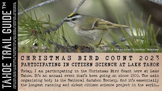 Birds of Lake Tahoe: Christmas Bird Count 2023 aka Participating in Citizen Science at Lake Tahoe!