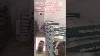best feed for your pigs #pigging #farming #farm #pig #pigfarm # how to start pig farming