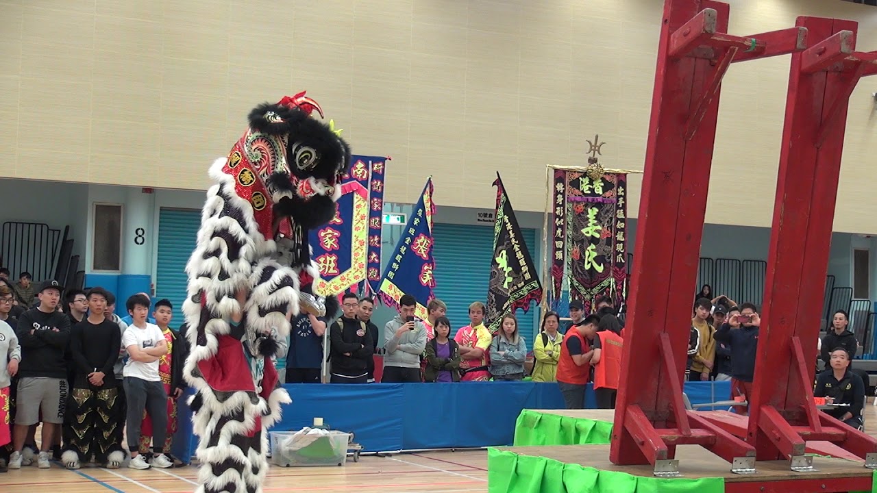 獅賽 20181202 張家班金龍醒獅團