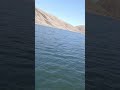 Capture de la vidéo Flying Drone