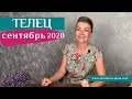ТЕЛЕЦ сентябрь 2020: таро прогноз Анны Ефремовой