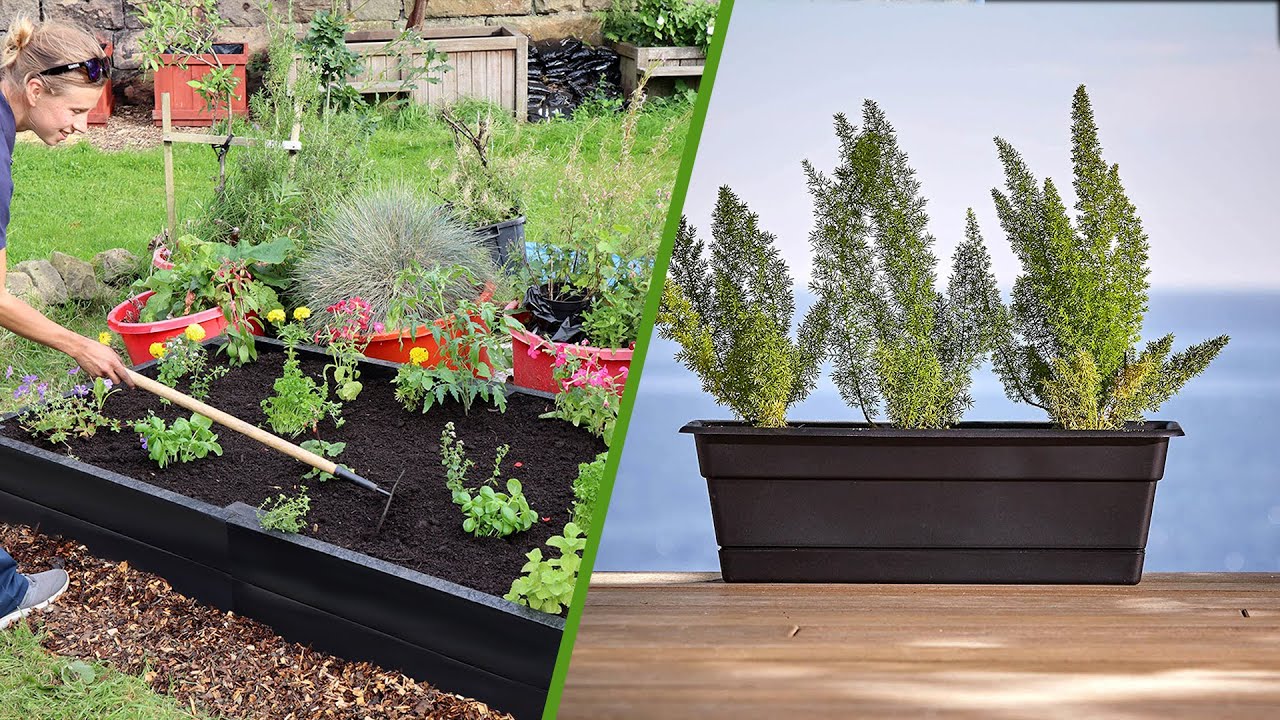 Planter Box vs Raised Bed Which is the Best for Your Garden? YouTube