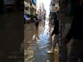 سيدي بشر شارع احمد عبد الوهاب سيدي بشر شارع احمد عبد الوهاب