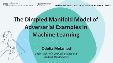 Session 2: Talk 3: Odelia Melamed: The Dimpled Manifold Model of Adversarial Examples in ML