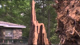 Powerful Storms, Tornadoes Kill 16 in 3 States