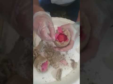 عش الخفاش الاصلى او ما يسمى محيض انثى الوطواط وسعره 30 مليون