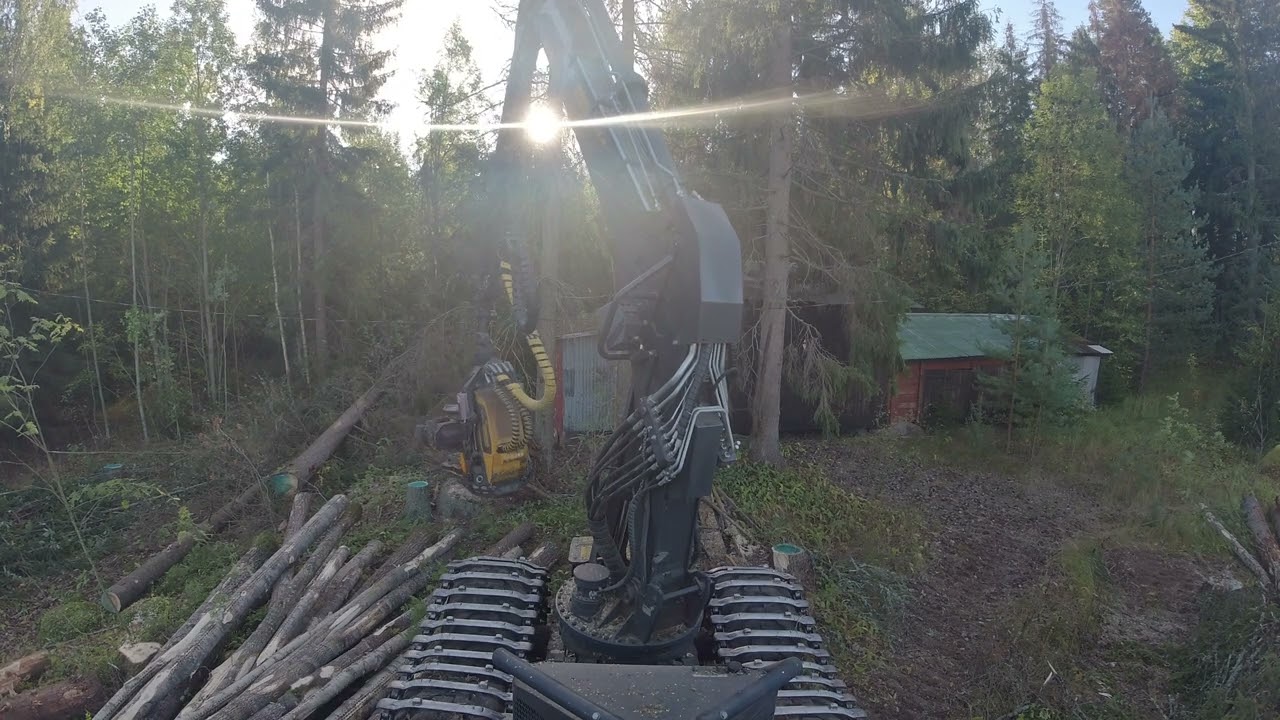 viimeinen työmaa Suomeesa toistaiseksi. vanhan kuivurin ympäriltä puut pois, tuleeko vahinkoa?