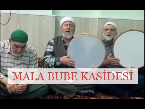 Mala Bube Kasidesi | Hacı Osman Baba Kaside Okuyor