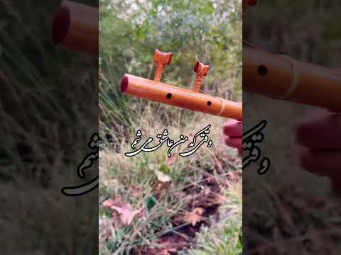 گل واژه بانو هایده نوازنده سه تار بهزاد دشتی Music سهتار Tar Setar