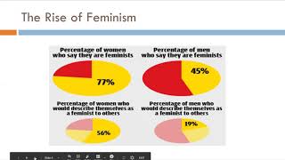 Ch 13: Gender-Politics