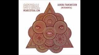 Cotidal - Aurora Transmission