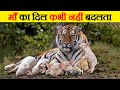 देखेंगे तो आंसू नहीं रोक पाएंगे | Animals Adopting Other Animal Species