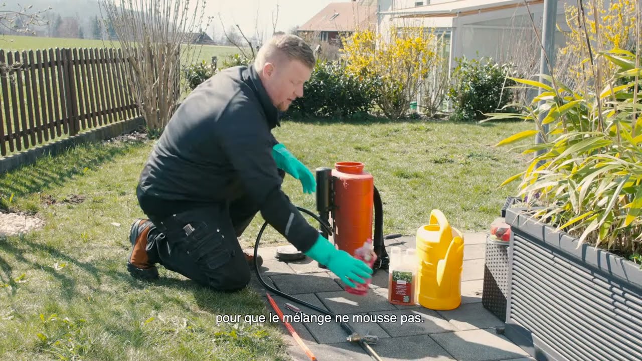 Quel est le meilleur désherbant sélectif pour le gazon ? - Passion