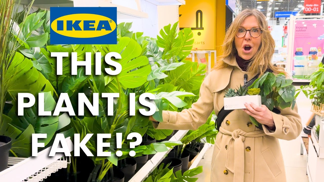 The BEST Real & Faux Plants at IKEA! | Styling Greenery For Your Home | Jane Lockhart Design