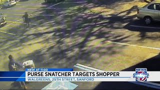 Purse snatcher targets shopper in Sanford