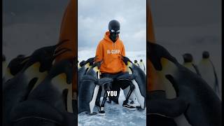What if you had to survive 24 hours in Antarctica? 💀❄️