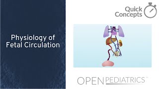Physiology of Fetal Circulation by L. McCabe | OPENPediatrics