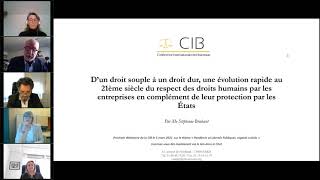 Webinaire CIB du 4 décembre 2020: les nouvelles responsabilités des entreprises et de leurs avocats