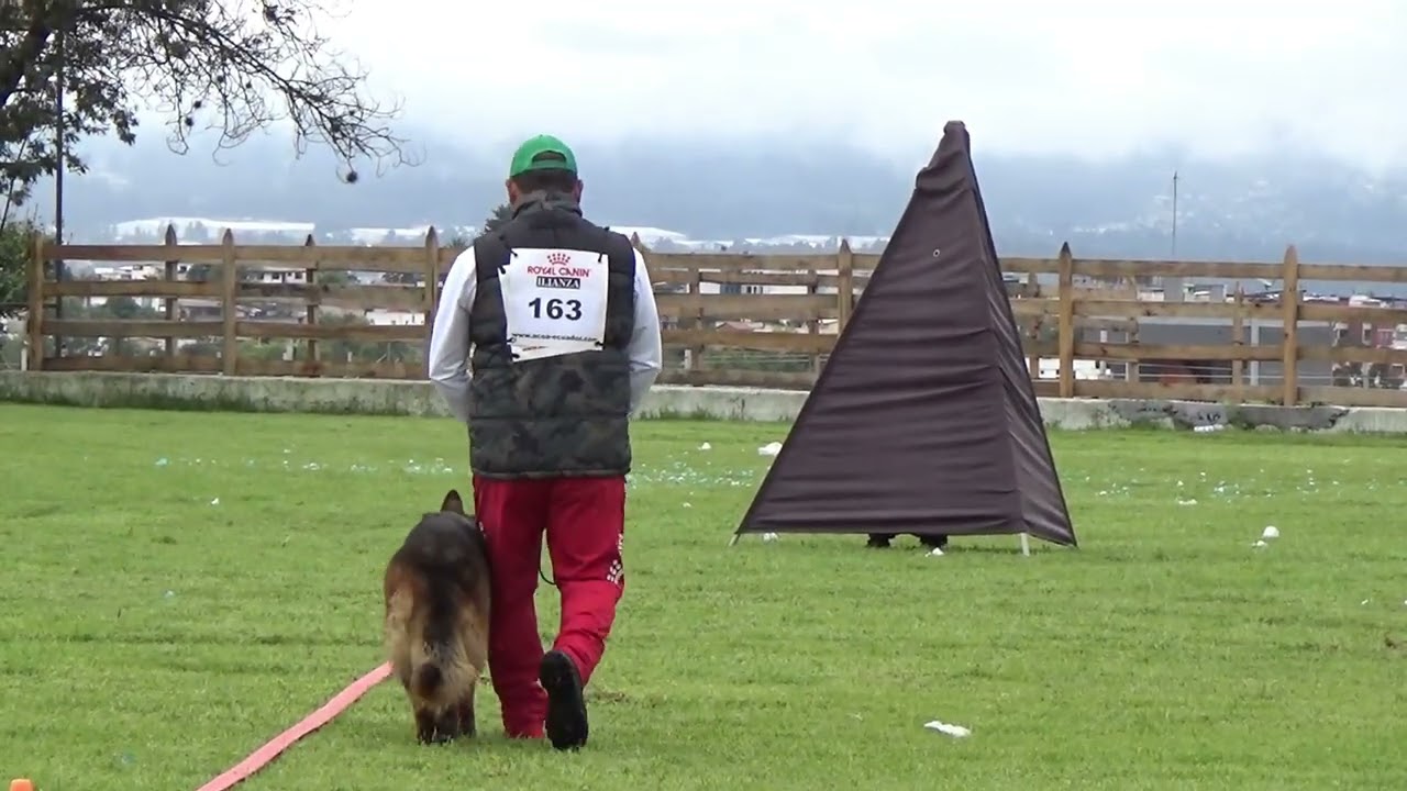 DEFENSAS ACOA 1 DE FEBRERO 2026