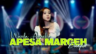 Download lagu Warda Amelia - Apesa Amarghe Dhunnya  ( Live )