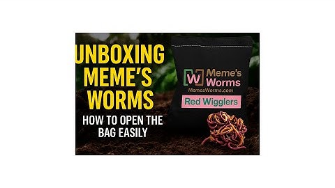 Unboxing Meme’s Worms: How They’re Packaged & How to Open the Bag Effortlessly| Meme
