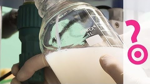 Is an Elixir of Youth Possible? - Do You Know?