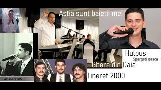 [2023] MIX Astia sunt baieti mei - Ghera din Daia-Marian Hulpus Spargeti Gasca Adirian Dinu [SIBIU]