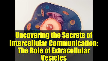 Uncovering the Secrets of Intercellular Communication: The Role of Extracellular Vesicles