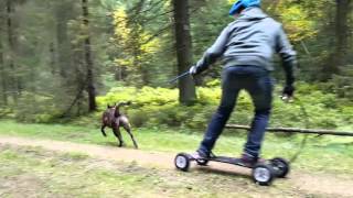 Mountainboard Jöring mit Hund - Outtakes