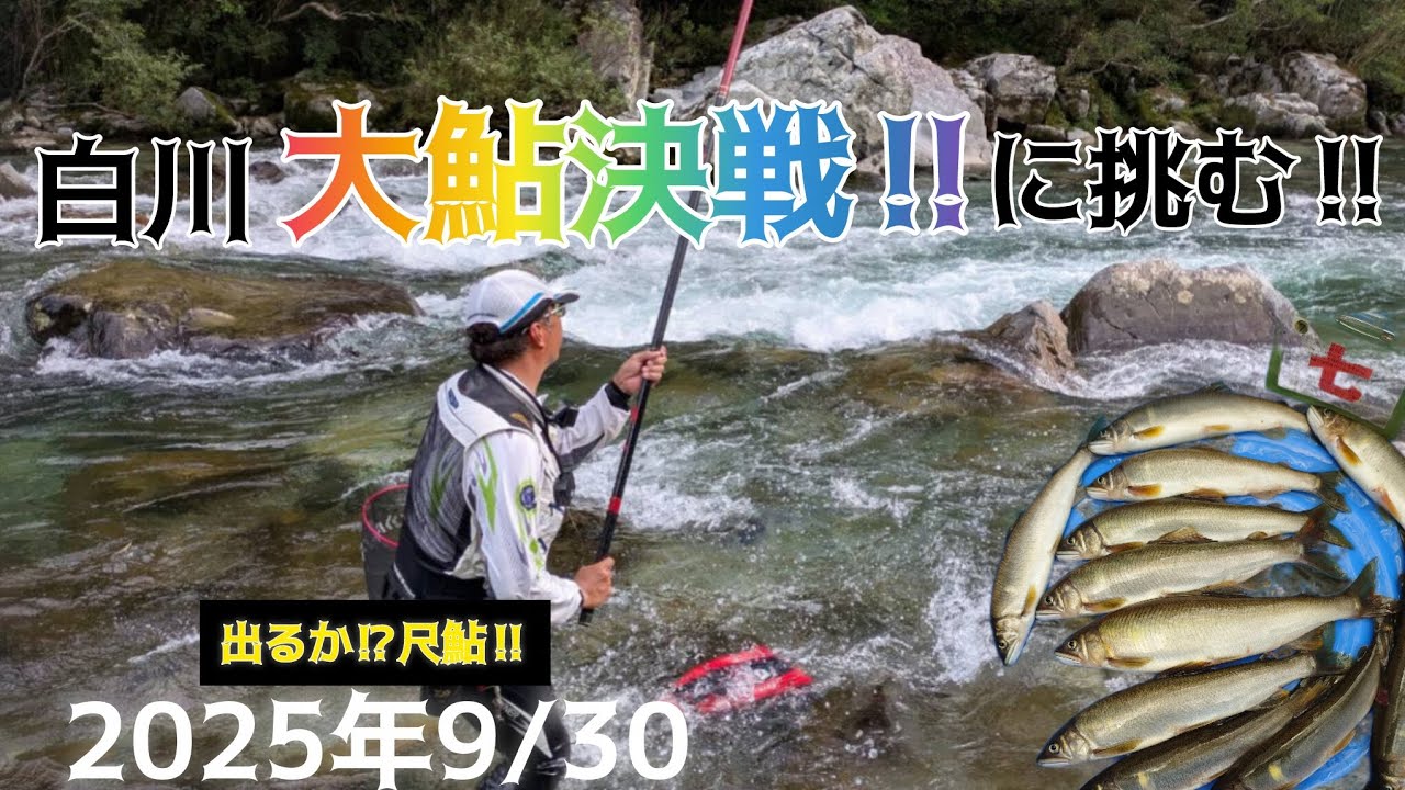 白川大鮎決戦に挑む‼️出るか⁉️尺鮎‼️2025年9/30