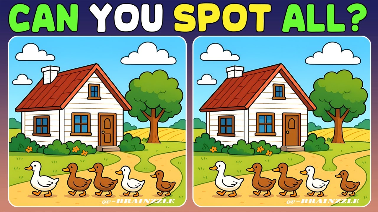 Find 3 Differences in 90 seconds | Improve Concentration