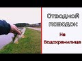 Отводной поводок на водохранилище. Цнянка. Минск.