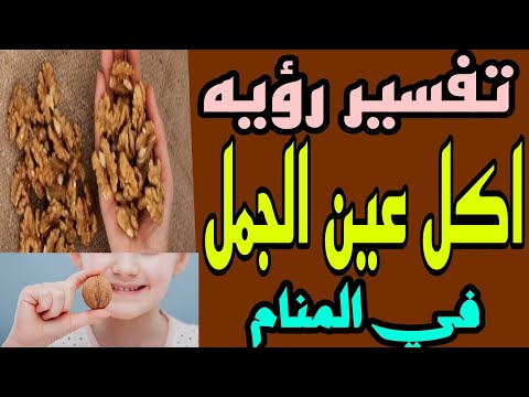 تفسير رؤيه اكل عين الجمل او اكل الجوز في المنام للرجل والمتزوجه والمطلقة والحامل والعزباء
