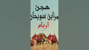 اريام اكسبلور الهجن هجن اماراتي طرب عمان خليجيه تصميمي لايك نادر جديد الامارات مزاين 