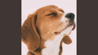 Tails Wag In Serenity