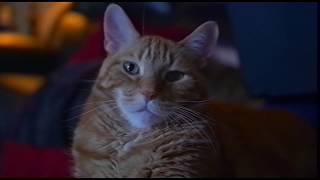 VHS Quality Test/Demo 16:9 version