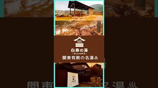 【おふろcafé 白寿の湯】名湯×テレワーク♨︎ 関東屈指の源泉掛け流しは超濃かった!! スーパー銭湯で温泉旅行気分♪｜おふろカフェ｜cafe｜日帰り温泉｜ 仕事｜勉強｜お風呂｜埼玉 #shorts
