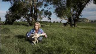  'Pleister van my Hart'  - Platteland die Movie