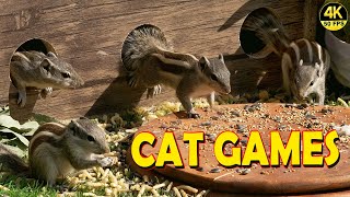 CAT GAMES ON SCREEN SQUIRRELS HIDE AND SEEK FOR CATS | 4K8 HOURS FUN FOR CATS & DOGS